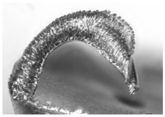 Figure 1 titanium alloy cutting chip bonding at the tip of the tool