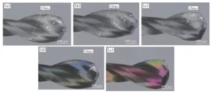 Fig.13 Morphology of the flute after routing aluminum substrate of 10 m by routers with different coatings